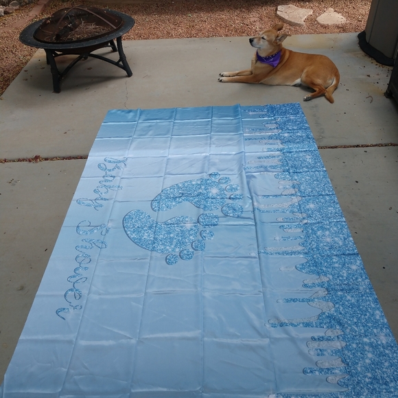 Decorative backdrop cloth with the design shown will come in unopened package - Picture 2 of 12